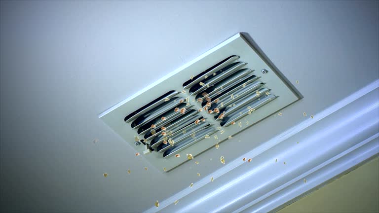 Best Air Vent Cleaning Services  in Pajaro, CA