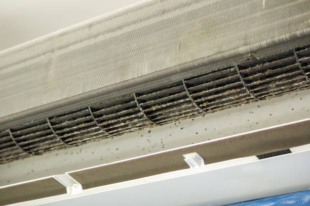 Best Home Air Vent Cleaning  in Pajaro, CA